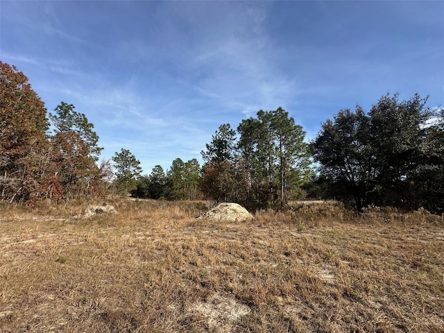 TBD SW 88th Ct, Dunnellon FL, 34432 land for sale