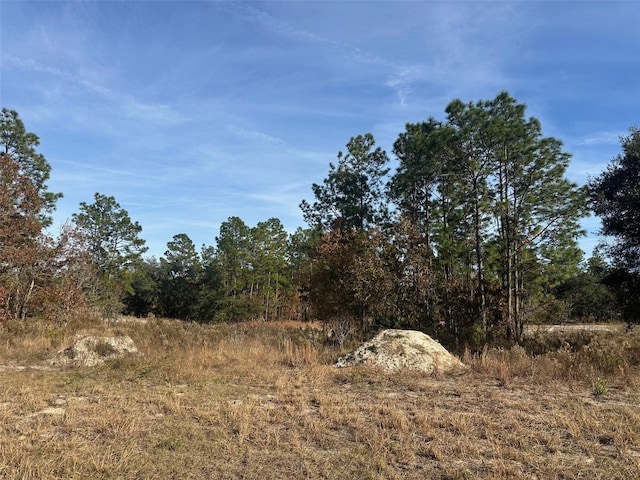 Listing photo 2 for TBD SW 88th Ct, Dunnellon FL 34432