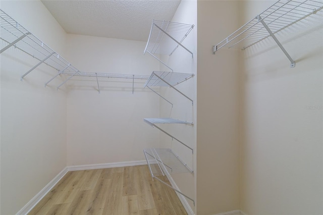 spacious closet featuring light wood-type flooring