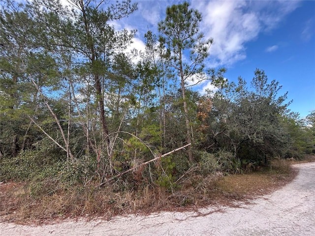 TBD Ne 236 Place, Fort Mc Coy FL, 32134 land for sale