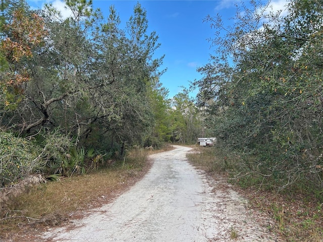 Listing photo 2 for TBD Ne 236 Place, Fort Mc Coy FL 32134