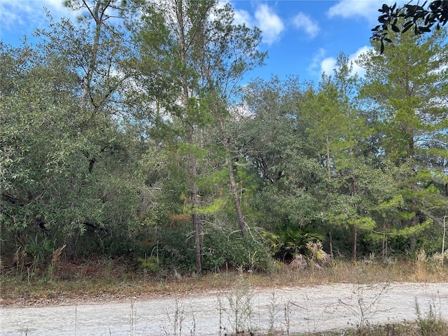 TBD Ne 236 Place, Fort Mc Coy, FL 32134 - photo 4