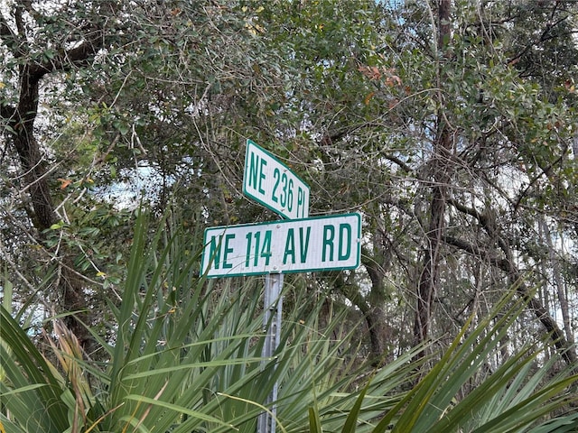 TBD Ne 236 Place, Fort Mc Coy, FL 32134 - photo 5