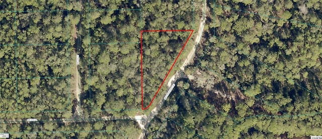 TBD Ne 236 Place, Fort Mc Coy, FL 32134 - photo 6