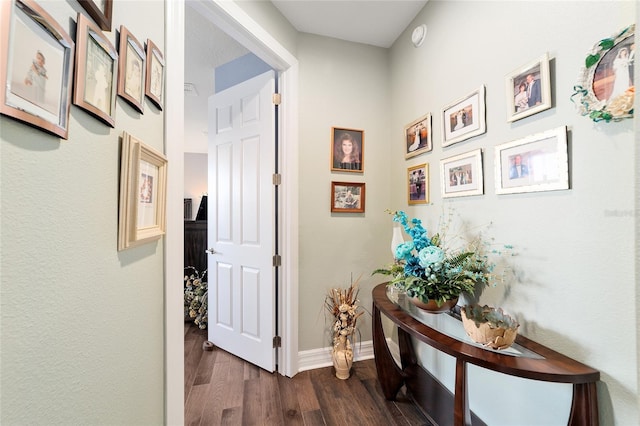 hall with dark wood-type flooring