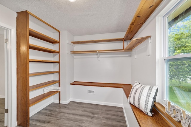 spacious closet featuring dark hardwood / wood-style flooring