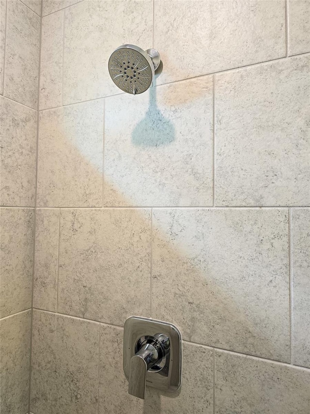 room details with a tile shower