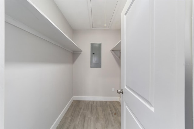 walk in closet featuring electric panel and light wood-type flooring