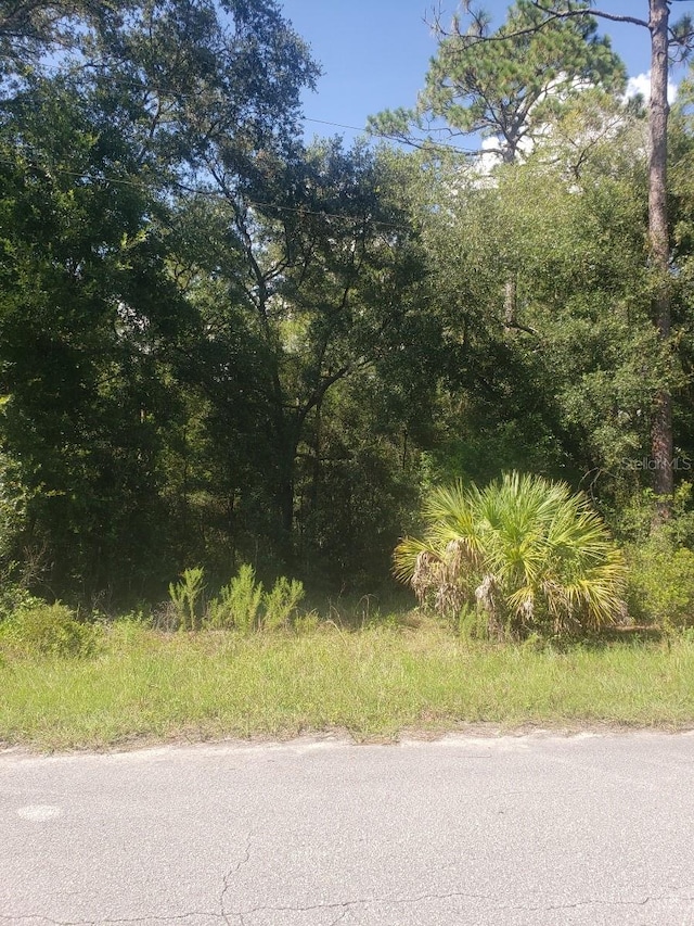 2949 W Grapevine Ct, Dunnellon FL, 34433 land for sale