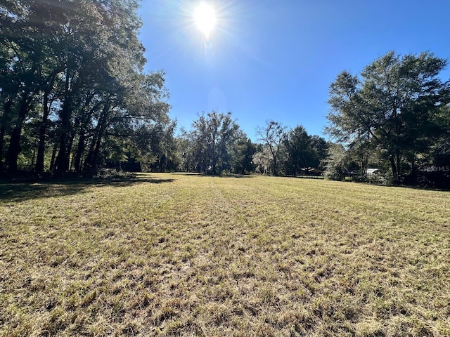 NE 151st Pl, Citra FL, 32113 land for sale