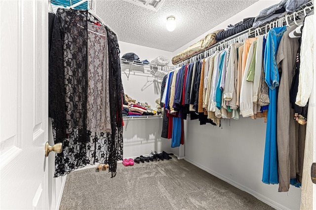 spacious closet featuring carpet floors