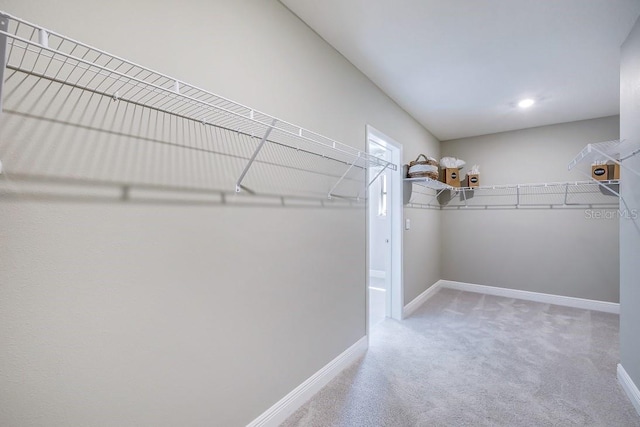 walk in closet featuring carpet flooring