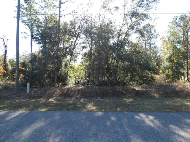 76 W Navarro Pl, Citrus Springs FL, 34434 land for sale