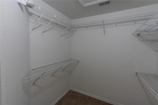 spacious closet with carpet floors