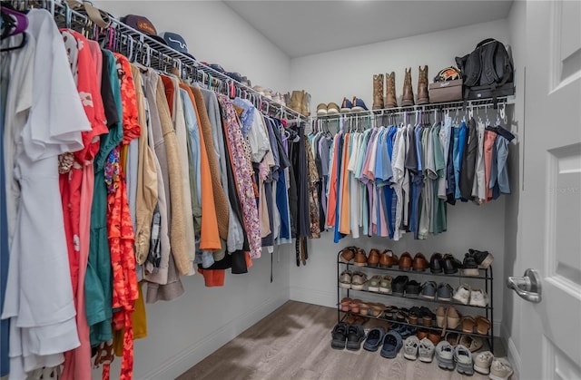 spacious closet featuring wood-type flooring