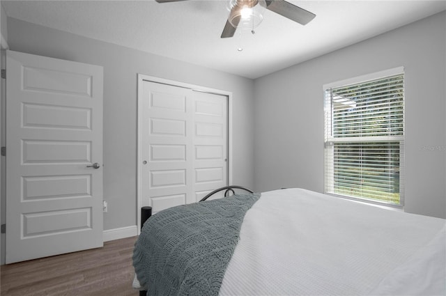 bedroom with dark hardwood / wood-style flooring, a closet, multiple windows, and ceiling fan