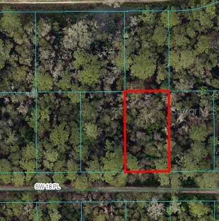 Listing photo 2 for TBD SW 18th Pl, Ocala FL 34481