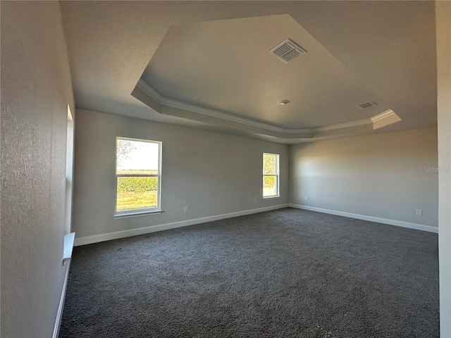 carpeted spare room featuring a tray ceiling and ornamental molding