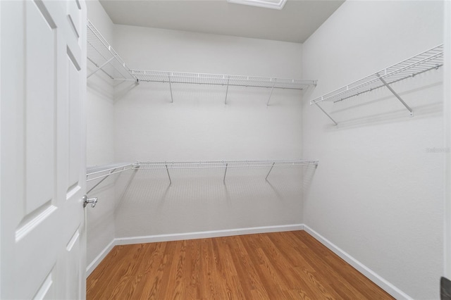 spacious closet with hardwood / wood-style flooring