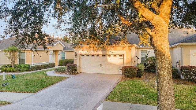 view of front of home with a front lawn