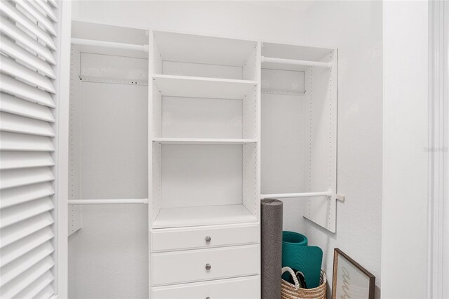 view of walk in closet