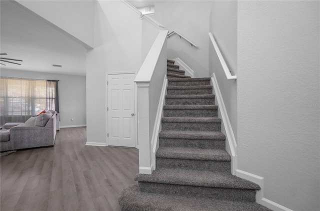 staircase with wood-type flooring