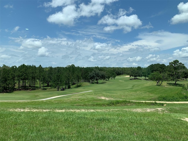 view of property's community with a yard