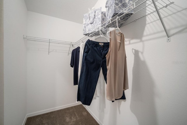 spacious closet with carpet