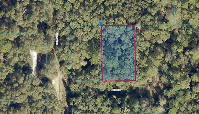 00 NE 239th St, Fort Mc Coy FL, 32134 land for sale