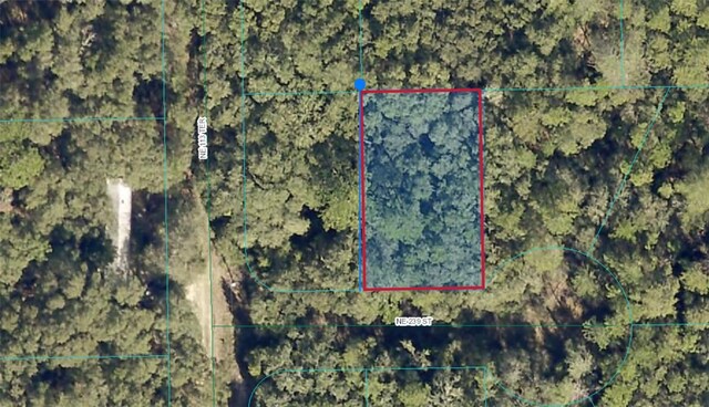 00 NE 239th St, Fort Mc Coy, FL 32134 - photo 1