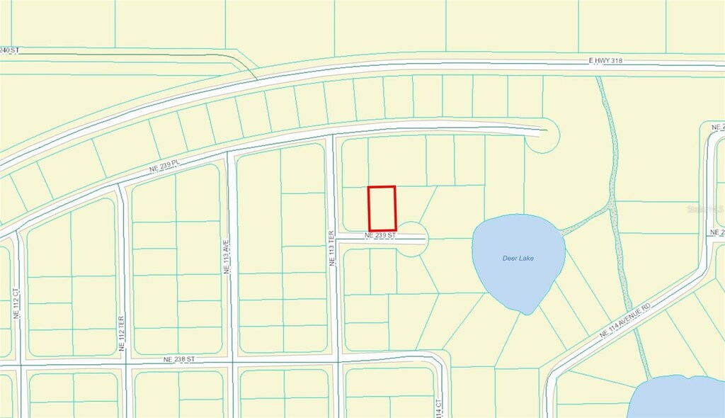 00 NE 239th St, Fort Mc Coy, FL 32134 - photo 2