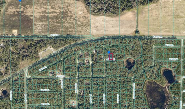 00 NE 239th St, Fort Mc Coy, FL 32134 - photo 3