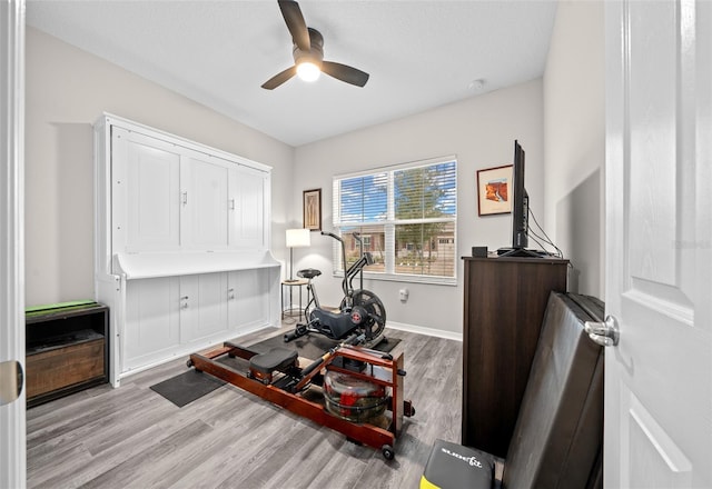 workout room featuring light hardwood / wood-style floors and ceiling fan