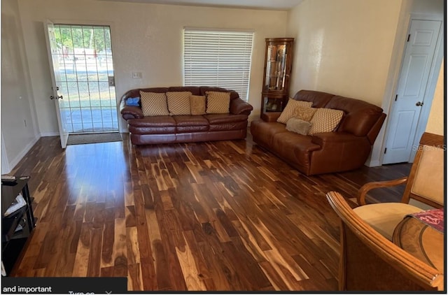 living room featuring dark wood-type flooring