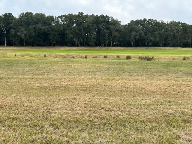 view of local wilderness featuring a rural view