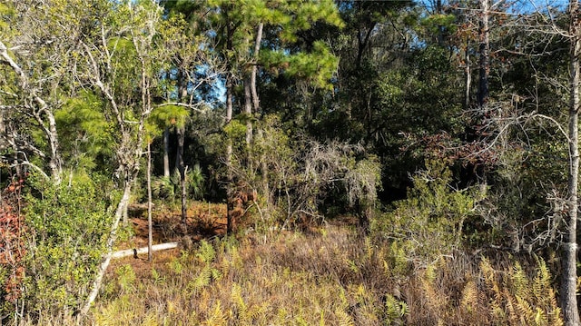 00 W Henry Blair Ln, Dunnellon FL, 34434 land for sale