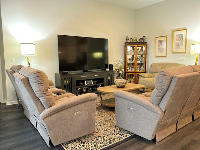 living room featuring dark wood-type flooring