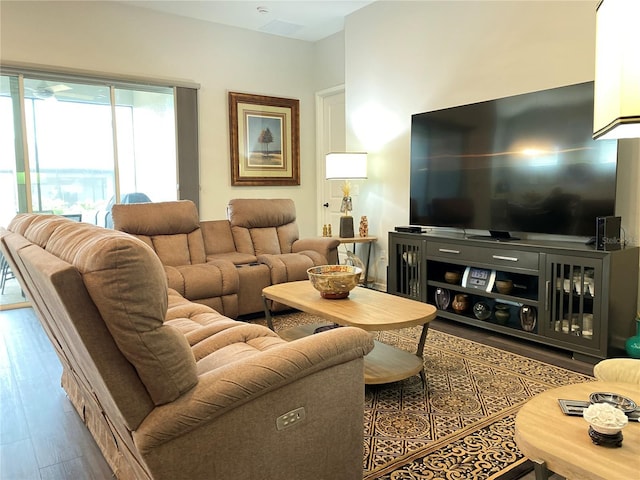 living room featuring wood-type flooring