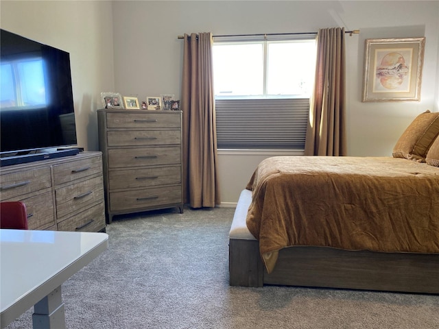 bedroom with carpet