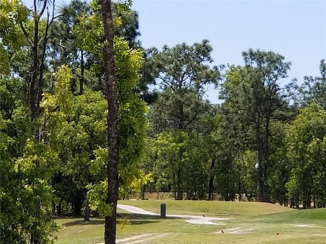 view of home's community with a yard