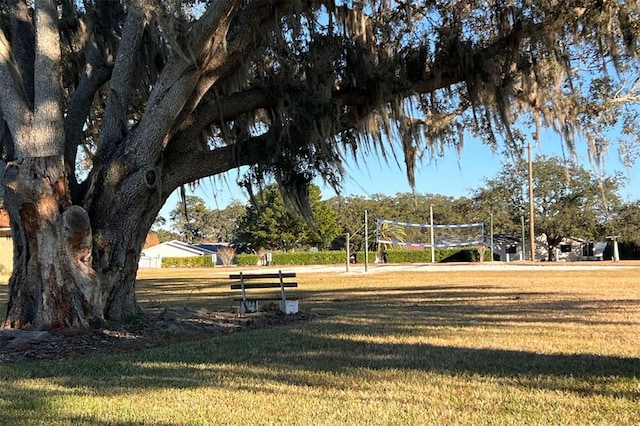 view of community featuring a lawn and volleyball court