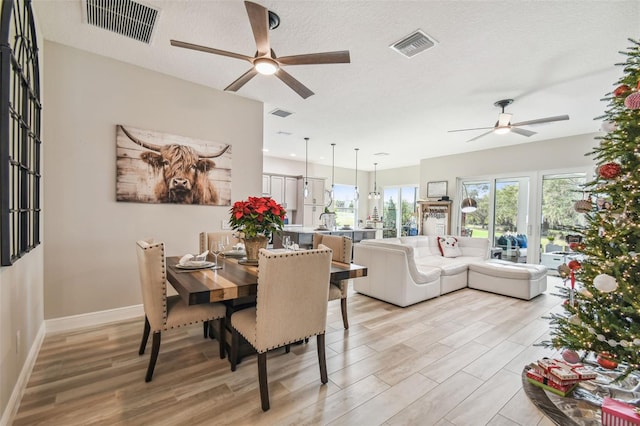 dining space featuring ceiling fan, light hardwood / wood-style floors, and a textured ceiling