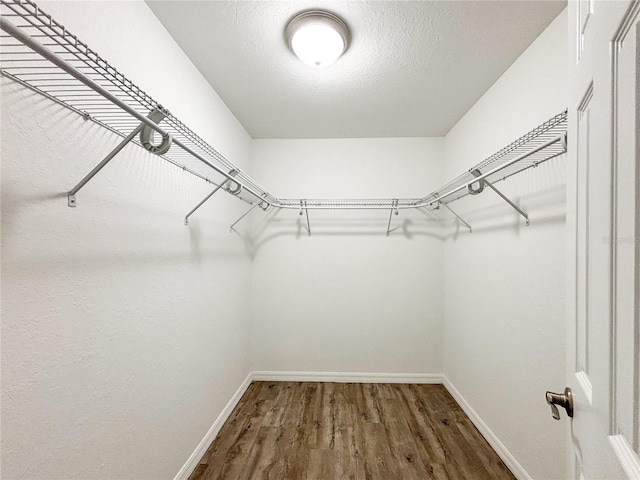 walk in closet featuring dark wood-type flooring