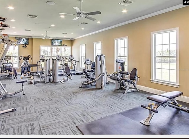 exercise room featuring ceiling fan and crown molding