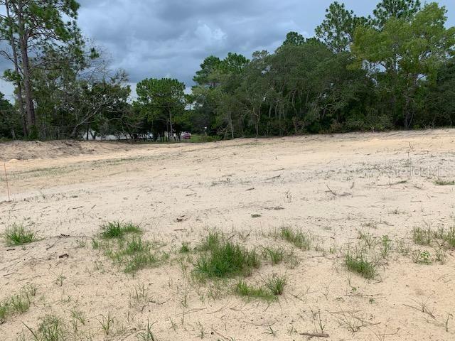 6530 N Zircon Pt, Dunnellon FL, 34433 land for sale