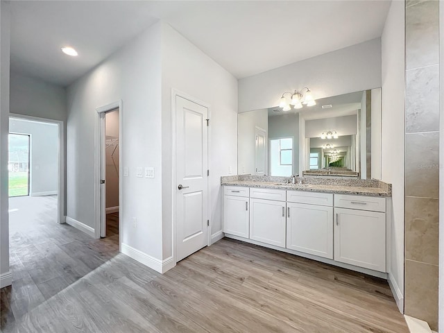 bathroom featuring hardwood / wood-style floors and vanity