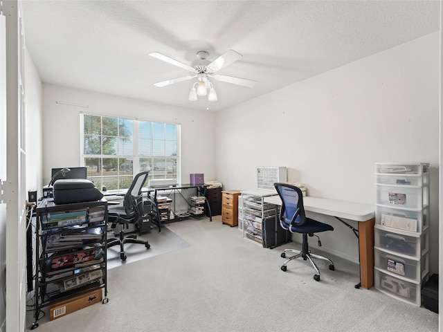 carpeted office space with ceiling fan and a textured ceiling