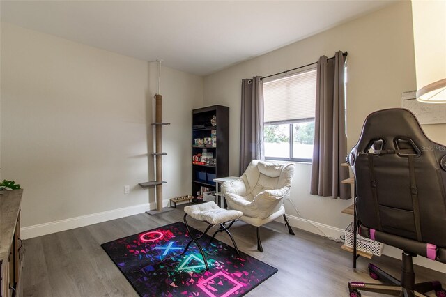 living area featuring wood-type flooring