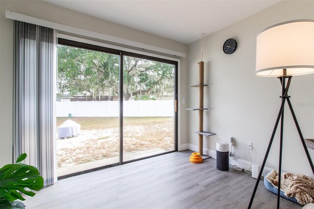 doorway to outside featuring light hardwood / wood-style floors