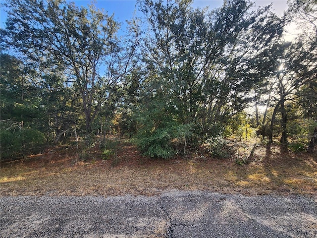 2176 W Conway Dr, Citrus Springs FL, 34434 land for sale